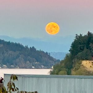 Meet your Posher, Lori ann